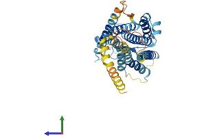 AlphaFold protein structure predicition of Mouse Recombinant Ptgdr Protein, UniprotID P70263