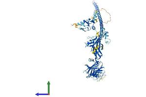 AlphaFold protein structure predicition of Human Recombinant MID1 Protein, UniprotID O15344