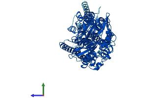 AlphaFold protein structure predicition of Mouse Recombinant Alox12 Protein, UniprotID P39655