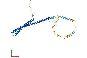 AlphaFold protein structure predicition of Human Recombinant CHMP5 Protein, UniprotID Q9NZZ3