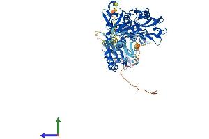 AlphaFold protein structure predicition of Mouse Recombinant Lmln Protein, UniprotID Q8BMN4