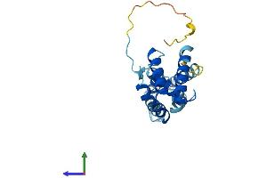 AlphaFold protein structure predicition of Human Recombinant TCEANC2 Protein, UniprotID Q96MN5