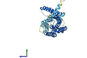 AlphaFold protein structure predicition of Human Recombinant OR8D2 Protein, UniprotID Q9GZM6