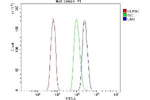 Flow Cytometry analysis of HL-60 cells using anti-UNG antibody (ABIN7602695).