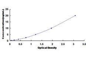 ELISA image for Nuclear Receptor Subfamily 5, Group A, Member 2 (NR5A2) ELISA Kit (ABIN419611)