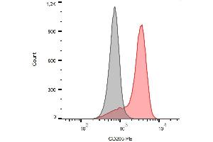 Surface staining of human peripheral blood monocytes with anti-CD205 (HD30) PE.