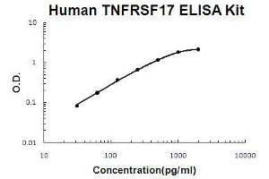 Human TNFRSF17/BCMA PicoKine ELISA Kit standard curve (BCMA Kit ELISA)