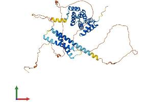 AlphaFold protein structure predicition of Human Recombinant TOM1L1 Protein, UniprotID O75674