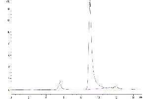 The purity of Cynomolgus APRIL Trimer is greater than 95 % as determined by SEC-HPLC.