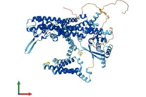 AlphaFold protein structure predicition of Human Recombinant TPCN1 Protein, UniprotID Q9ULQ1