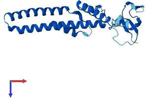 AlphaFold protein structure predicition of Mouse Recombinant Gins1 Protein, UniprotID Q9CZ15