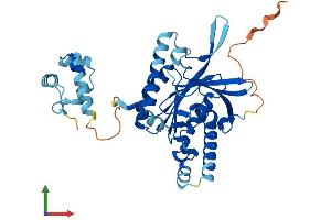 AlphaFold protein structure predicition of Mouse Recombinant Rad51c Protein, UniprotID Q924H5