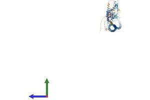 AlphaFold protein structure predicition of Mouse Recombinant Rufy1 Protein, UniprotID Q8BIJ7