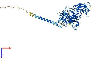 AlphaFold protein structure predicition of Human Recombinant TMPRSS4 Protein, UniprotID Q9NRS4