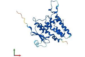 AlphaFold protein structure predicition of Human Recombinant CLIC2 Protein, UniprotID O15247