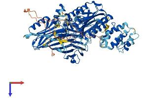 AlphaFold protein structure predicition of Human Recombinant VWA5A Protein, UniprotID O00534