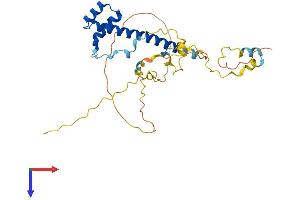AlphaFold protein structure predicition of Human Recombinant TLX2 Protein, UniprotID O43763