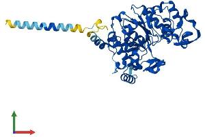 AlphaFold protein structure predicition of Human Recombinant GCNT3 Protein, UniprotID O95395