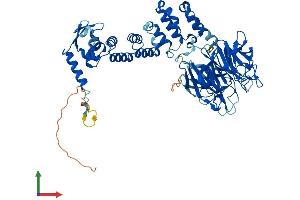 AlphaFold protein structure predicition of Human Recombinant KLHL6 Protein, UniprotID Q8WZ60