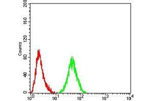 Flow cytometric analysis of Hela cells using PELP1 mouse mAb (green) and negative control (red). (PELP1 anticorps  (AA 1031-1180))