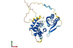 AlphaFold protein structure predicition of Mouse Recombinant Armc1 Protein, UniprotID Q9D7A8