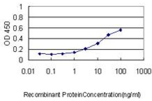 Detection limit for recombinant GST tagged YBX1 is approximately 0. (YBX1 anticorps  (AA 51-139))