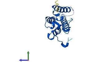 AlphaFold protein structure predicition of Human Recombinant ORMDL3 Protein, UniprotID Q8N138
