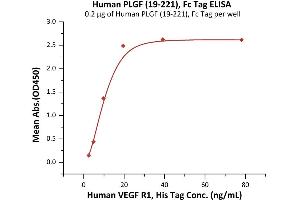 Immobilized Human PLGF (19-221), Fc Tag (ABIN6973195) at 2 μg/mL (100 μL/well) can bind Human VEGF R1, His Tag (ABIN2181915,ABIN2181916) with a linear range of 2-20 ng/mL (Routinely tested).