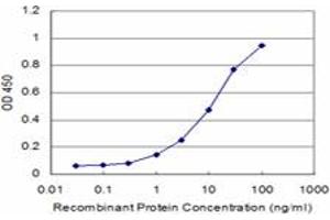 Detection limit for recombinant GST tagged PROX1 is approximately 1ng/ml as a capture antibody. (PROX1 anticorps  (AA 638-737))