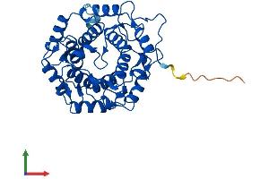AlphaFold protein structure predicition of Mouse Recombinant Rabggtb Protein, UniprotID P53612