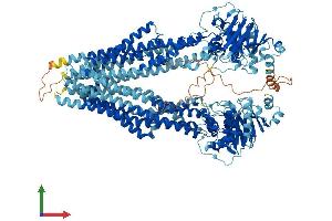 AlphaFold protein structure predicition of Mouse Recombinant Abcb5 Protein, UniprotID B5X0E4