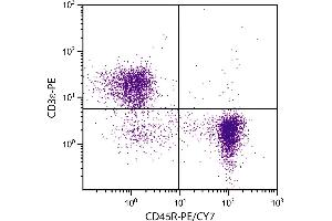 BALB/c mouse splenocytes were stained with Rat Anti-Mouse CD45R-PE/CY7.