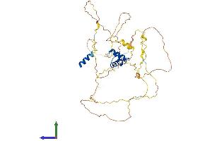 AlphaFold protein structure predicition of Human Recombinant LCOR Protein, UniprotID Q96JN0