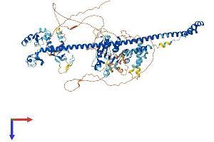 AlphaFold protein structure predicition of Mouse Recombinant Pml Protein, UniprotID Q60953