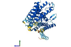 AlphaFold protein structure predicition of Human Recombinant PORCN Protein, UniprotID Q9H237