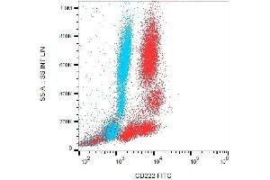 Intracellular staining of human peripheral blood with anti-CD222 (MEM-238) FITC. (IGF2R anticorps  (FITC))
