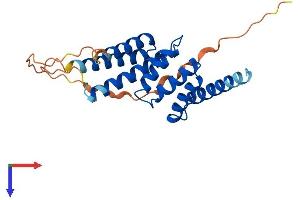 AlphaFold protein structure predicition of Human Recombinant TTC9 Protein, UniprotID Q92623