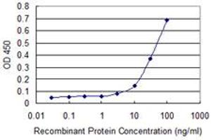 Detection limit for recombinant GST tagged PCAF is approximately 10ng/ml as a capture antibody. (KAT2B anticorps  (AA 353-452))