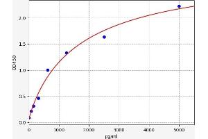 Typical standard curve (ELOVL7 Kit ELISA)