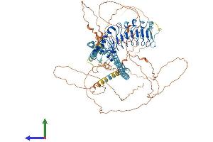 AlphaFold protein structure predicition of Human Recombinant CEP97 Protein, UniprotID Q8IW35