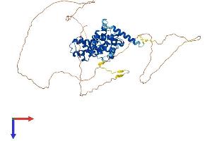 AlphaFold protein structure predicition of Human Recombinant CCNL1 Protein, UniprotID Q9UK58
