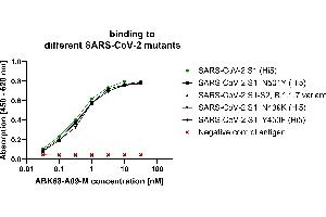 S1 Protein of different corona strain mutants (produced in Hi5 cells) were coated on an ELISA plate at 100 ng.