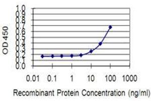 Detection limit for recombinant GST tagged KIF13B is 3 ng/ml as a capture antibody. (KIF13B anticorps  (AA 1-100))