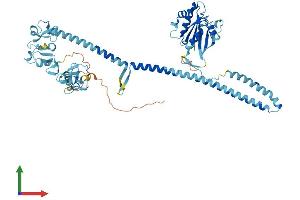 AlphaFold protein structure predicition of Mouse Recombinant Trim23 Protein, UniprotID Q8BGX0