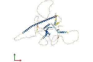 AlphaFold protein structure predicition of Human Recombinant SOX13 Protein, UniprotID Q9UN79