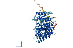 AlphaFold protein structure predicition of Human Recombinant PRAMEF4 Protein, UniprotID O60810