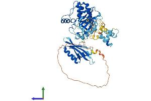 AlphaFold protein structure predicition of Human Recombinant PRKAA2 Protein, UniprotID P54646