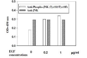 Hela cells were stimulated by different concentrations of anisomycin for 15 minutes at 37 °C (JNK Kit ELISA)