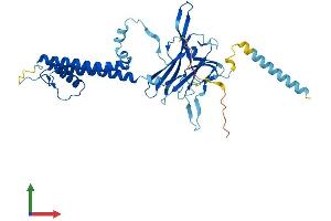 AlphaFold protein structure predicition of Mouse Recombinant Kcnj15 Protein, UniprotID O88932