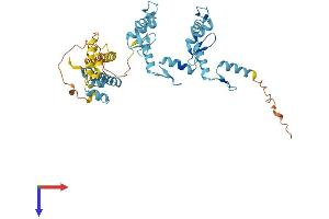 AlphaFold protein structure predicition of Human Recombinant ZNF506 Protein, UniprotID Q5JVG8